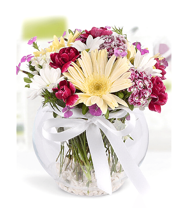 Cam Fanus Mevsim Çiçekleri