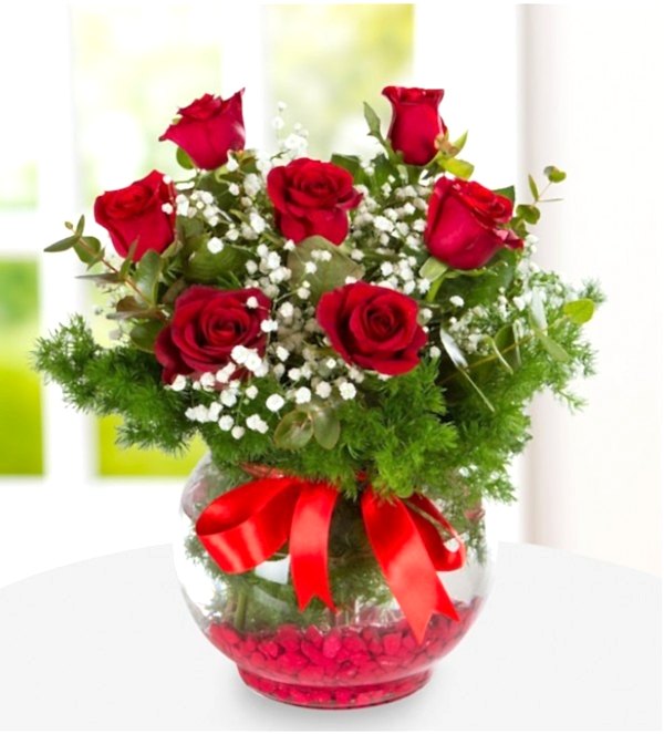 Fanus 7 Kırmızı Gül