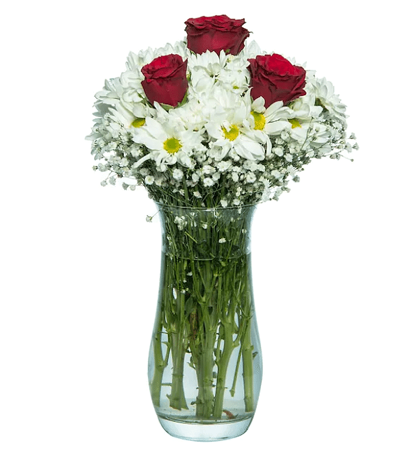 Vazoda 3 Gül ve Papatya