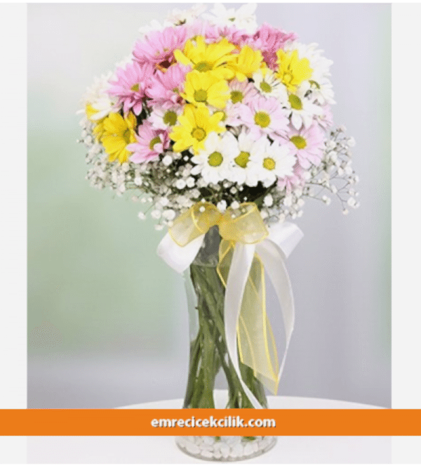 Vazoda Renkli Papatyalar