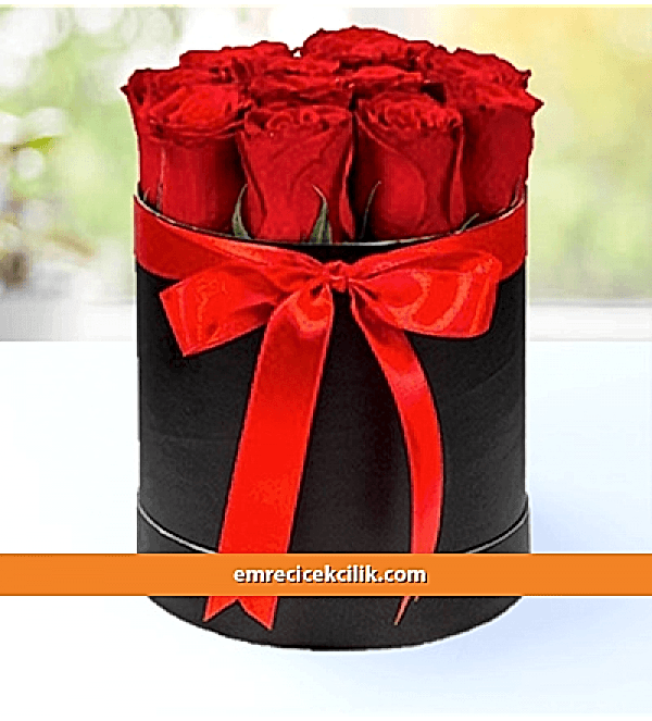 Kutuda 10 Gül Kırmızı