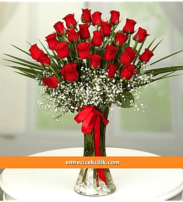 Vazoda 25 Kırmızı Gül