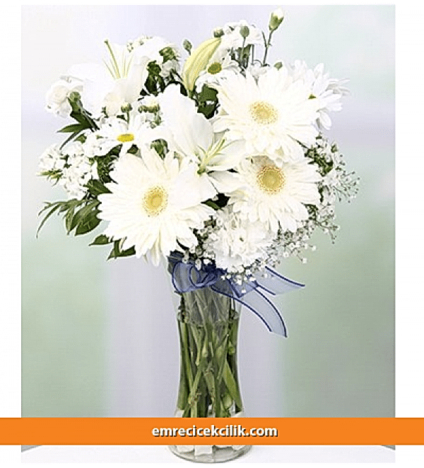 Vazoda Beyaz Kır Çiçekleri