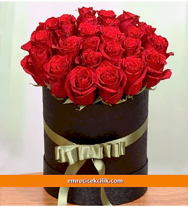Kutuda 25 Gül Kırmızı