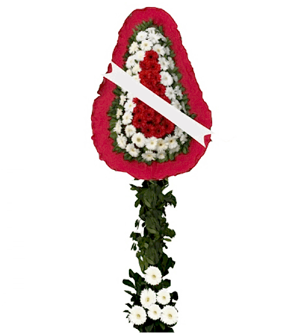 Kırmızı Beyaz Gerbera Mutluluklar