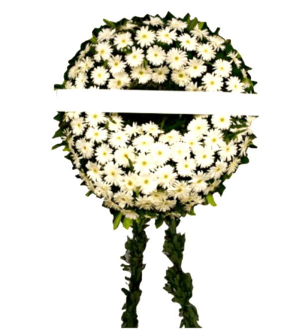 Beyaz Gerberalarla Cenaze Çelengi