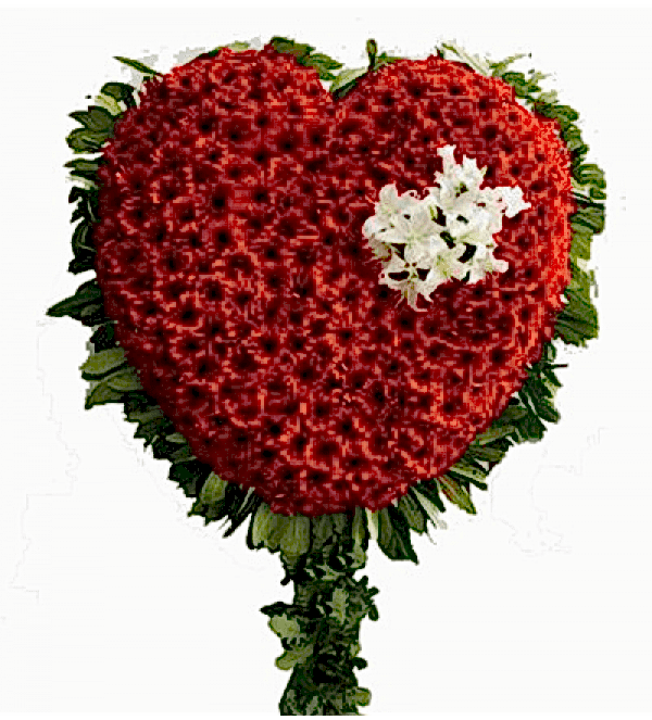 Kalp Şeklinde Pano Çiçeği