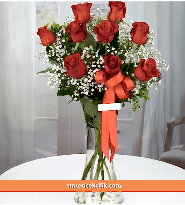 Vazoda 9 Kırmızı Gül